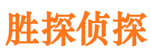 龙安市调查公司